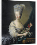 Princess Maria Theresa of Savoy, Countess of Artois by Jean-Baptiste André Gautier Dagoty