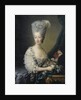 Princess Maria Theresa of Savoy, Countess of Artois by Jean-Baptiste André Gautier Dagoty