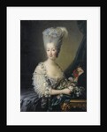 Princess Maria Theresa of Savoy, Countess of Artois by Jean-Baptiste André Gautier Dagoty