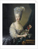 Princess Maria Theresa of Savoy, Countess of Artois by Jean-Baptiste André Gautier Dagoty