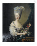 Princess Maria Theresa of Savoy, Countess of Artois by Jean-Baptiste André Gautier Dagoty