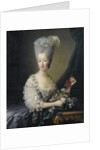 Princess Maria Theresa of Savoy, Countess of Artois by Jean-Baptiste André Gautier Dagoty