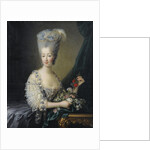 Princess Maria Theresa of Savoy, Countess of Artois by Jean-Baptiste André Gautier Dagoty