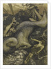 Sigurd the Dragon Slayer, 1901 by Arthur Rackham