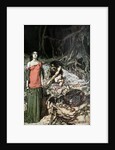 The wooing of Grimhilde, the mother of Hagen. Illustration for Siegfried and The Twilight of the Go by Arthur Rackham
