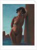 Baigneuse au rocher rouge, 1908 by Felix Edouard Vallotton