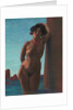 Baigneuse au rocher rouge, 1908 by Felix Edouard Vallotton