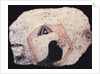 Ostracon with Dancing girl, ca 1200 BC by Ancient Egypt