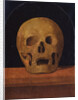 Memento mori. The back side of the triptych, 1500 by Mariotto Albertinelli