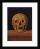 Memento mori. The back side of the triptych, 1500 by Mariotto Albertinelli