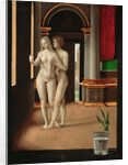 Naked Lovers Couple, Late 15th century by Jacopo de' Barbari