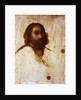Self-portrait, ca 1515 by Jacopo Palma il Vecchio the Elder