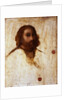 Self-portrait, ca 1515 by Jacopo Palma il Vecchio the Elder