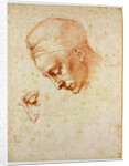 Study to the head of Leda, ca 1530 by Michelangelo Buonarroti