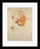 Study to the head of Leda, ca 1530 by Michelangelo Buonarroti