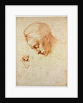 Study to the head of Leda, ca 1530 by Michelangelo Buonarroti