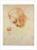 Study to the head of Leda, ca 1530 by Michelangelo Buonarroti