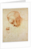 Study to the head of Leda, ca 1530 by Michelangelo Buonarroti