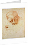 Study to the head of Leda, ca 1530 by Michelangelo Buonarroti