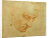Head Study to the Sistine Chapel ceiling, ca 1509-1510 by Michelangelo Buonarroti