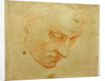 Head Study to the Sistine Chapel ceiling, ca 1509-1510 by Michelangelo Buonarroti