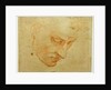 Head Study to the Sistine Chapel ceiling, ca 1509-1510 by Michelangelo Buonarroti