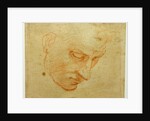 Head Study to the Sistine Chapel ceiling, ca 1509-1510 by Michelangelo Buonarroti