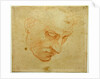 Head Study to the Sistine Chapel ceiling, ca 1509-1510 by Michelangelo Buonarroti