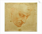 Head Study to the Sistine Chapel ceiling, ca 1509-1510 by Michelangelo Buonarroti