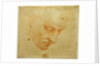 Head Study to the Sistine Chapel ceiling, ca 1509-1510 by Michelangelo Buonarroti