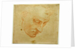 Head Study to the Sistine Chapel ceiling, ca 1509-1510 by Michelangelo Buonarroti