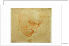 Head Study to the Sistine Chapel ceiling, ca 1509-1510 by Michelangelo Buonarroti