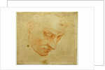Head Study to the Sistine Chapel ceiling, ca 1509-1510 by Michelangelo Buonarroti