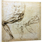 Studies of legs, 1524-1525 by Michelangelo Buonarroti