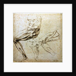 Studies of legs, 1524-1525 by Michelangelo Buonarroti