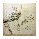 Studies of legs, 1524-1525 by Michelangelo Buonarroti