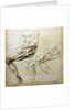 Studies of legs, 1524-1525 by Michelangelo Buonarroti