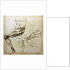 Studies of legs, 1524-1525 by Michelangelo Buonarroti