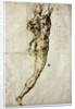 Nude from behind, c. 1504 by Michelangelo Buonarroti