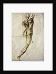 Nude from behind, c. 1504 by Michelangelo Buonarroti