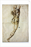 Nude from behind, c. 1504 by Michelangelo Buonarroti
