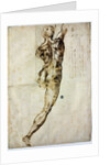 Nude from behind, c. 1504 by Michelangelo Buonarroti