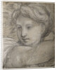 Head of an Angel, c. 1520 by Raphael