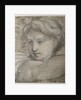 Head of an Angel, c. 1520 by Raphael