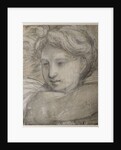 Head of an Angel, c. 1520 by Raphael