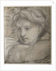 Head of an Angel, c. 1520 by Raphael