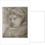 Head of an Angel, c. 1520 by Raphael