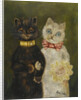 The Bride and Groom by Louis Wain