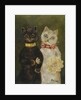 The Bride and Groom by Louis Wain