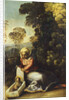 Madonna with Child (La Zingarella), c. 1513 by Dosso Dossi